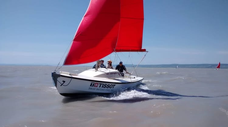 Newsletter Februar 2026